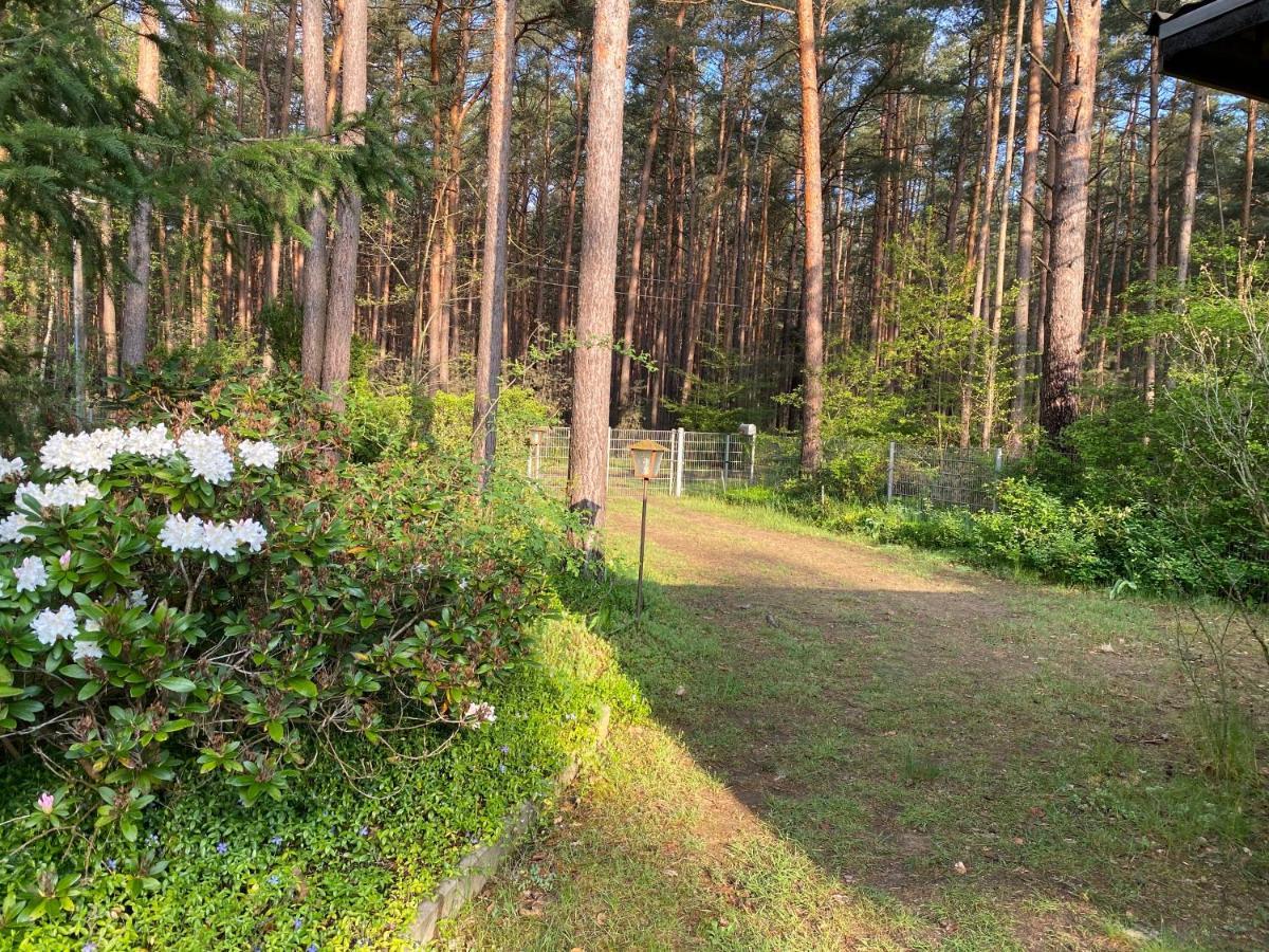 Ferienhaus Im Wald Borkwalde Esterno foto