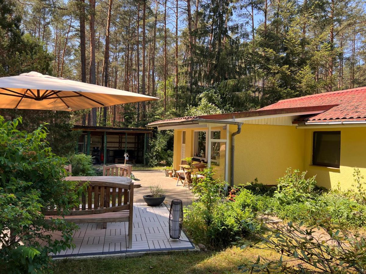 Ferienhaus Im Wald Borkwalde Esterno foto