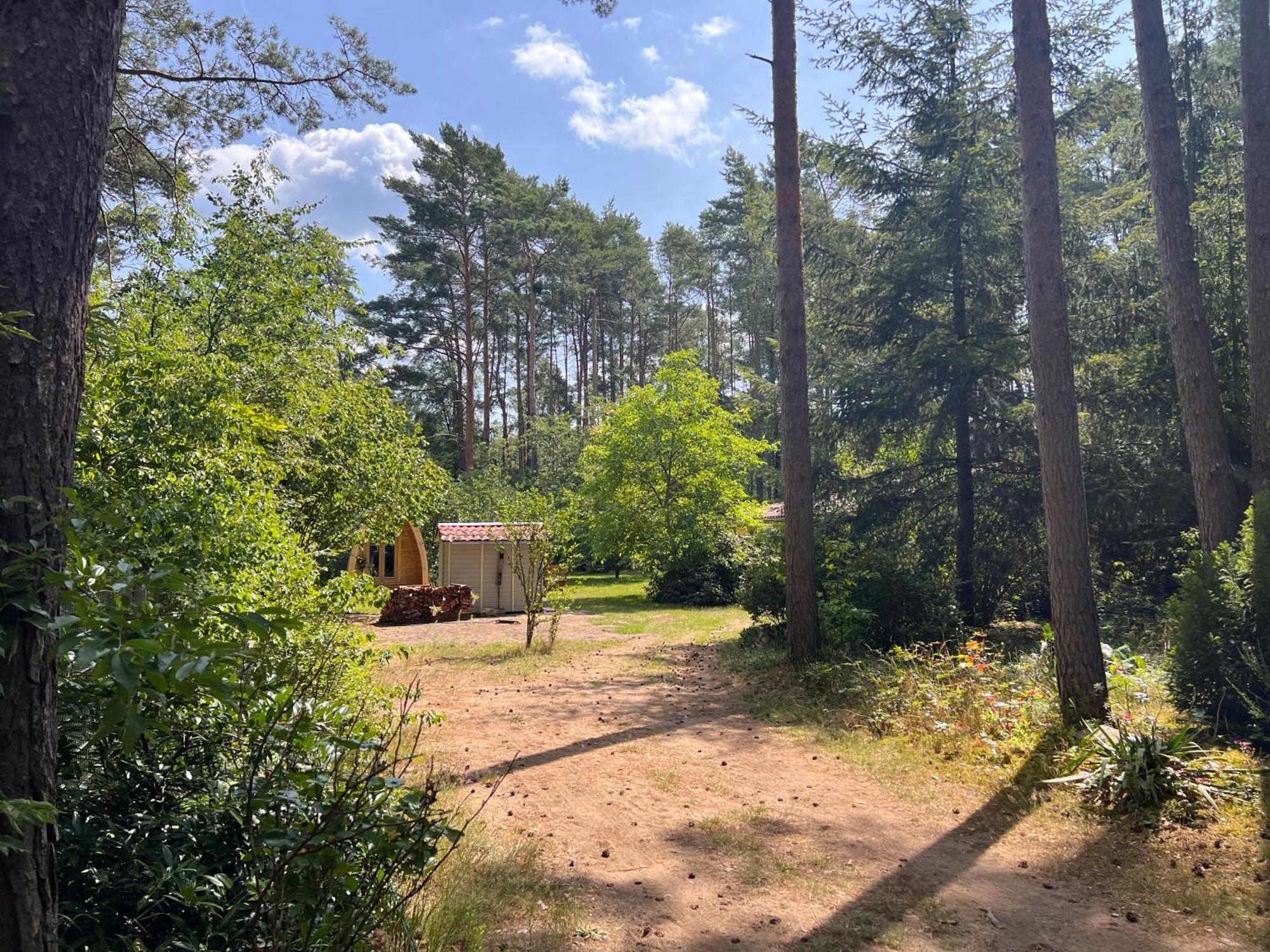 Ferienhaus Im Wald Borkwalde Esterno foto
