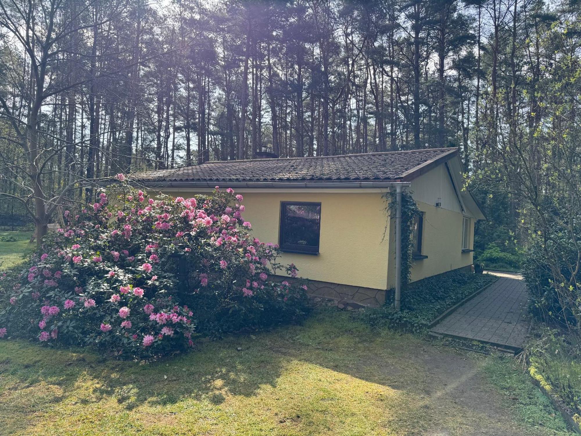 Ferienhaus Im Wald Borkwalde Esterno foto