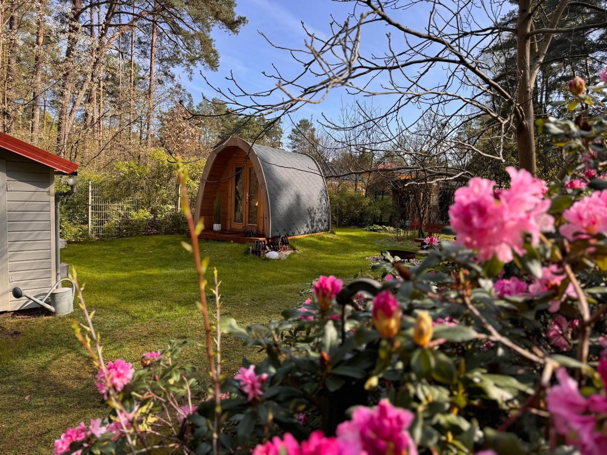 Ferienhaus Im Wald Borkwalde Esterno foto